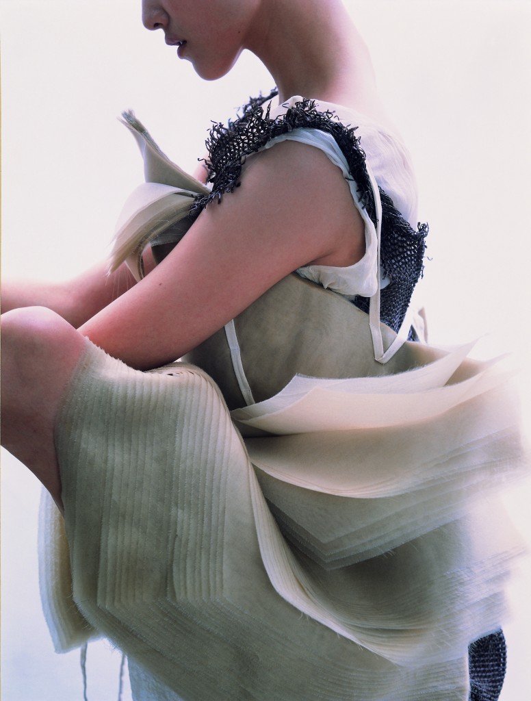 Vest and Dress by Jin Tae, 2009