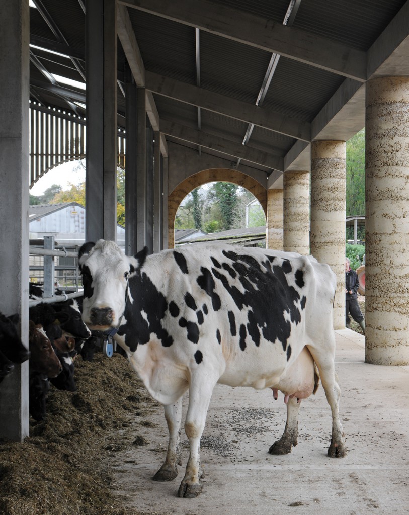 Stephen Taylor Architects: Cowshed in Somerset. Copyright David Grandorge.